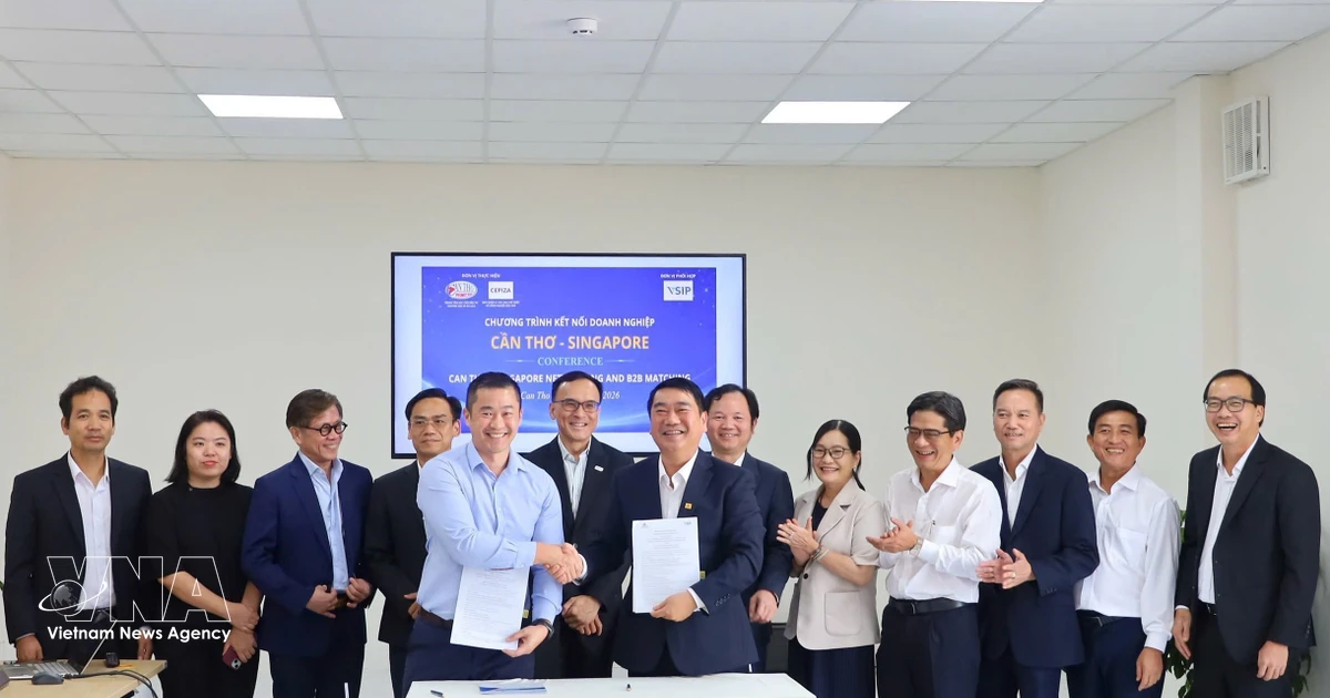 Singaporean businesses explore investment opportunities at VSIP Can Tho