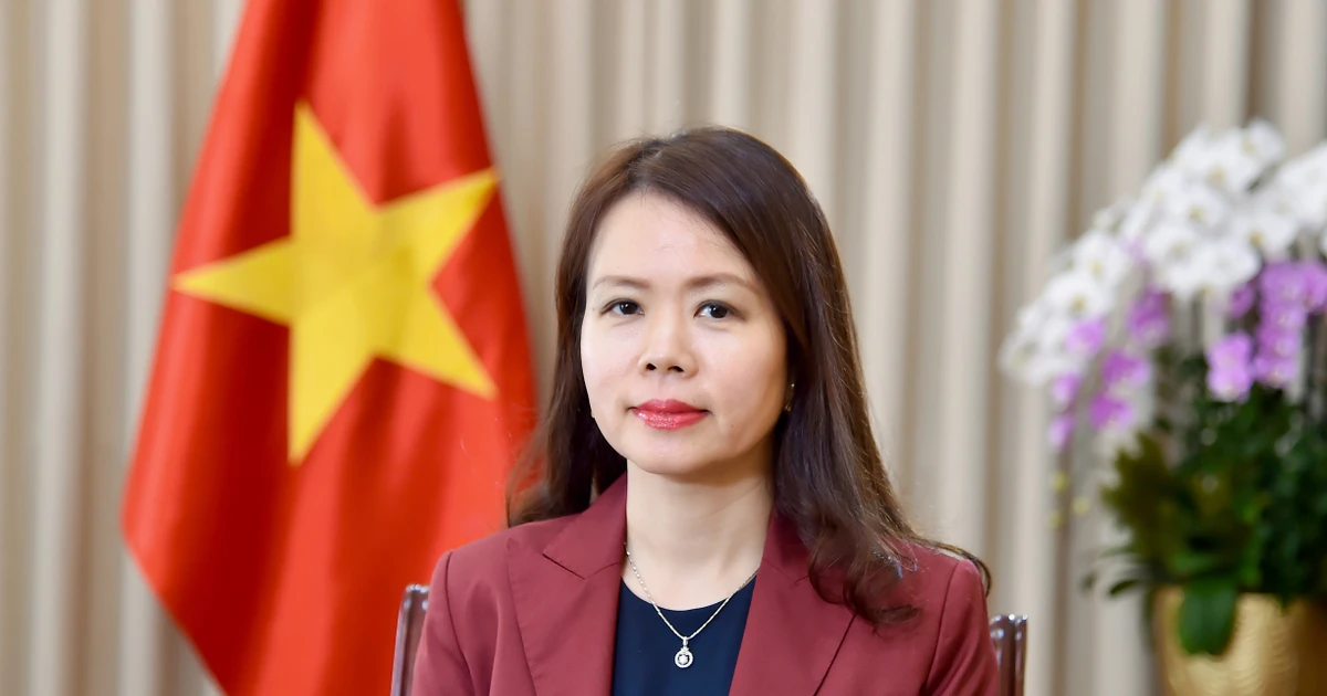 Vietnam works to shape new future, vision with Middle East-Africa region