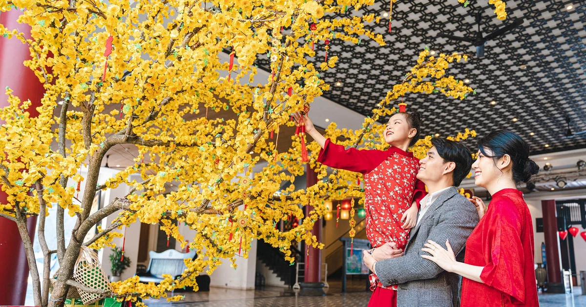 Da Nang New Year Festival 2026 promises vibrant cultural, entertainment spaces