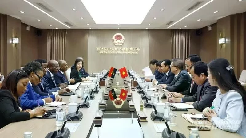 Vietnam, Angola eye closer cooperation in agricultural extension services, technology transfer
