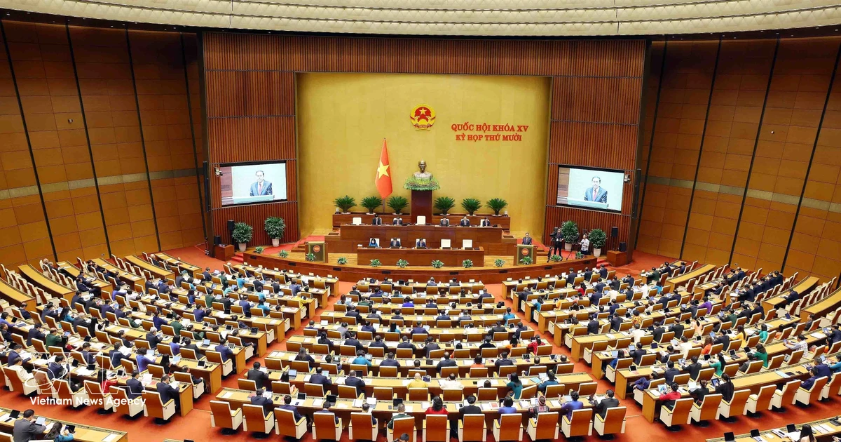 Vietnamese in Canada pin high hopes on new National Assembly