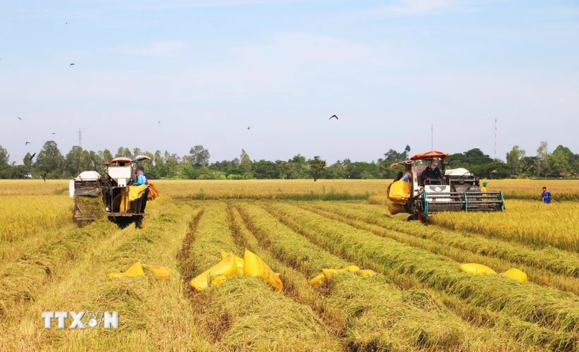 14th Party Congress: Laying new foundations for green growth