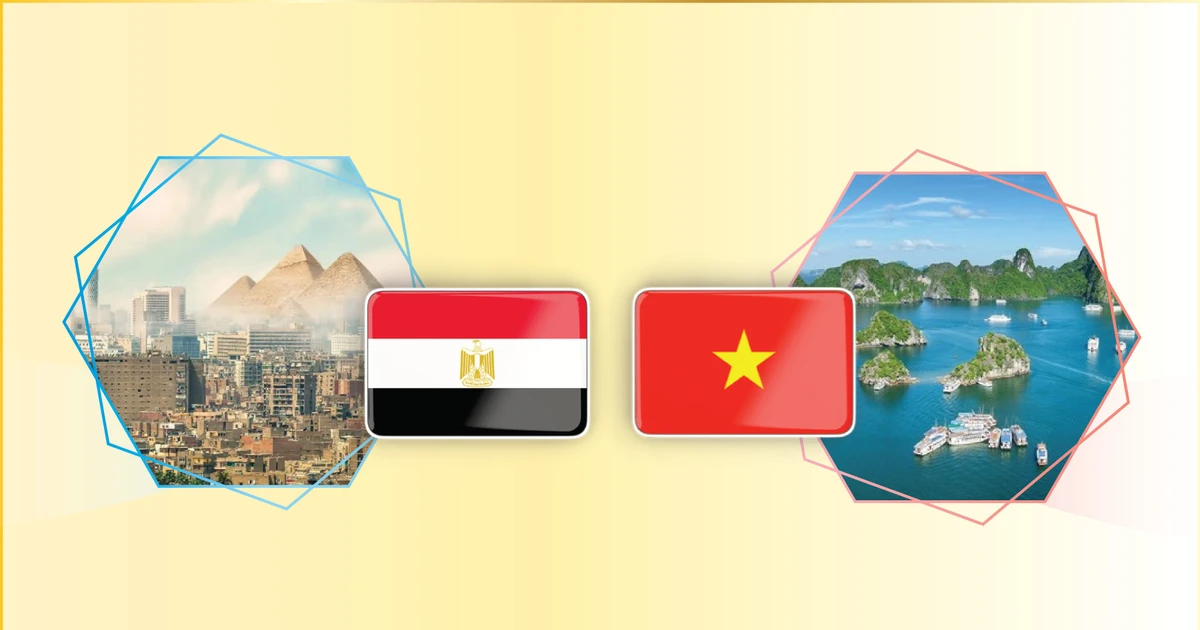 Infographic: Viet Nam-Egypt traditional friendship relations