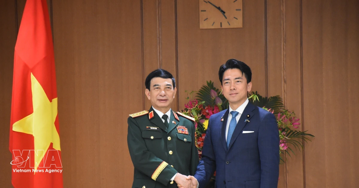 Vietnam, Japan enhance defence cooperation