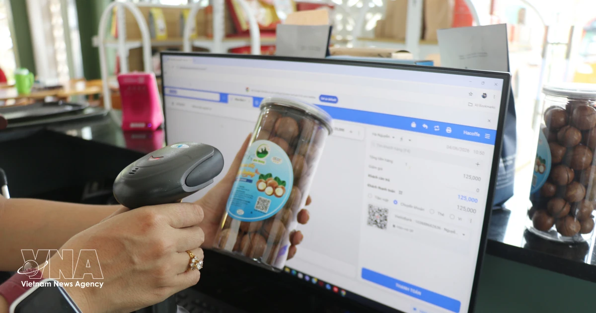 New E-Commerce Law expected to create transparent digital market