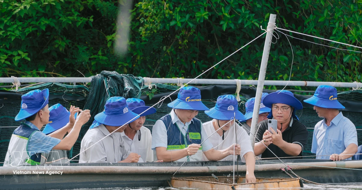 Ca Mau seeks stronger cooperation with Dutch partners in green development, marine economy