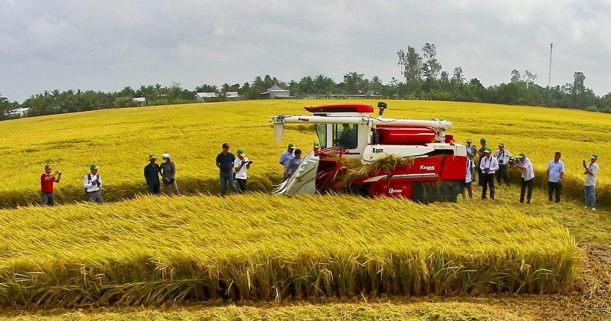 PM pushes innovative solutions to tackle climate change in Mekong Delta