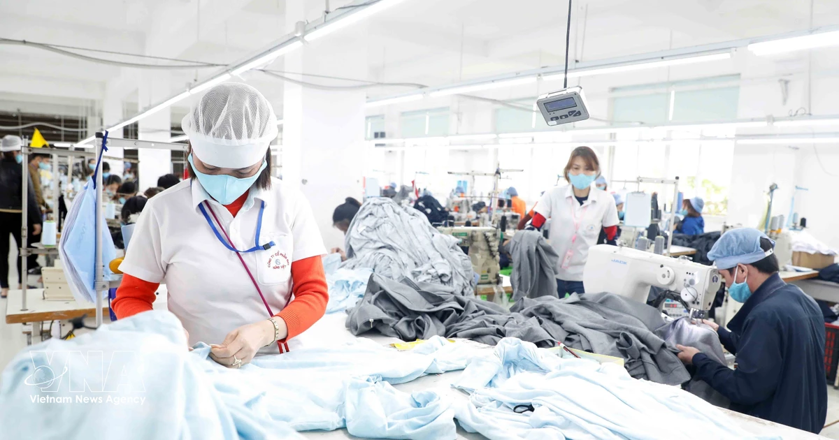 Seminar on Vietnamese garment-textile digitalisation, automation solutions to be held