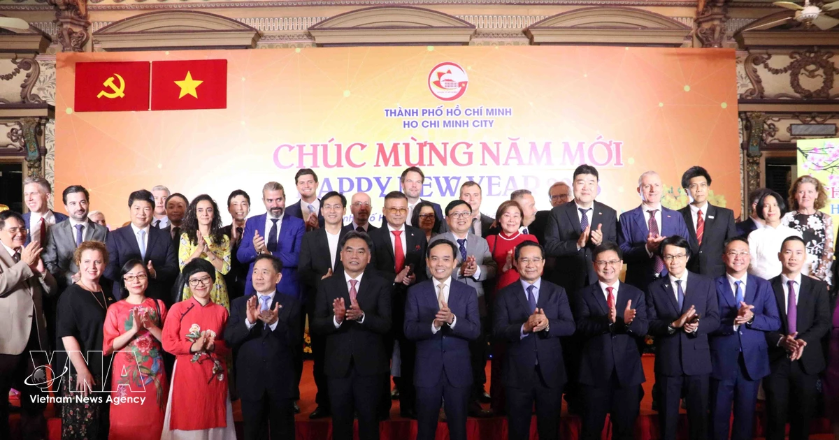 Foreign missions urged to help develop future industries in Ho Chi Minh City
