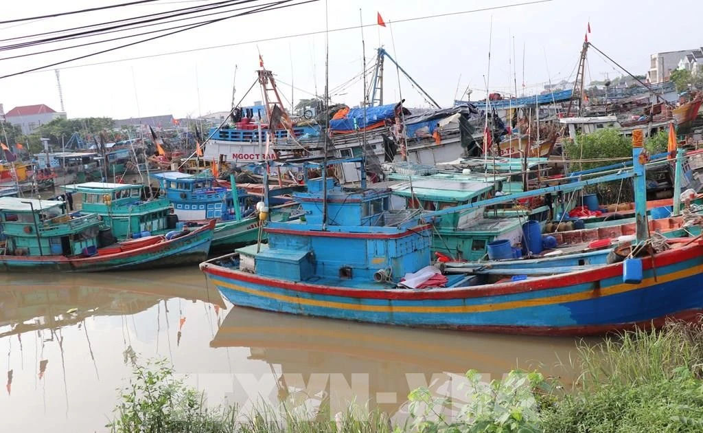 Ho Chi Minh City moves swiftly to finalise IUU fishing cases