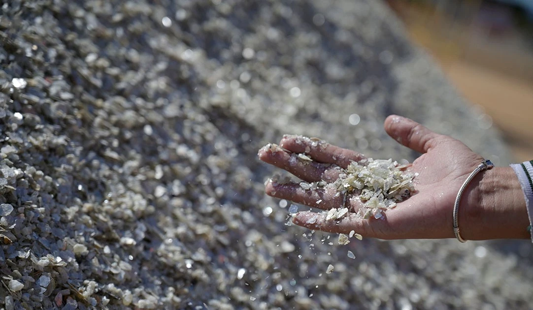 Philippines, Israel boost cooperation in strategic minerals, AI