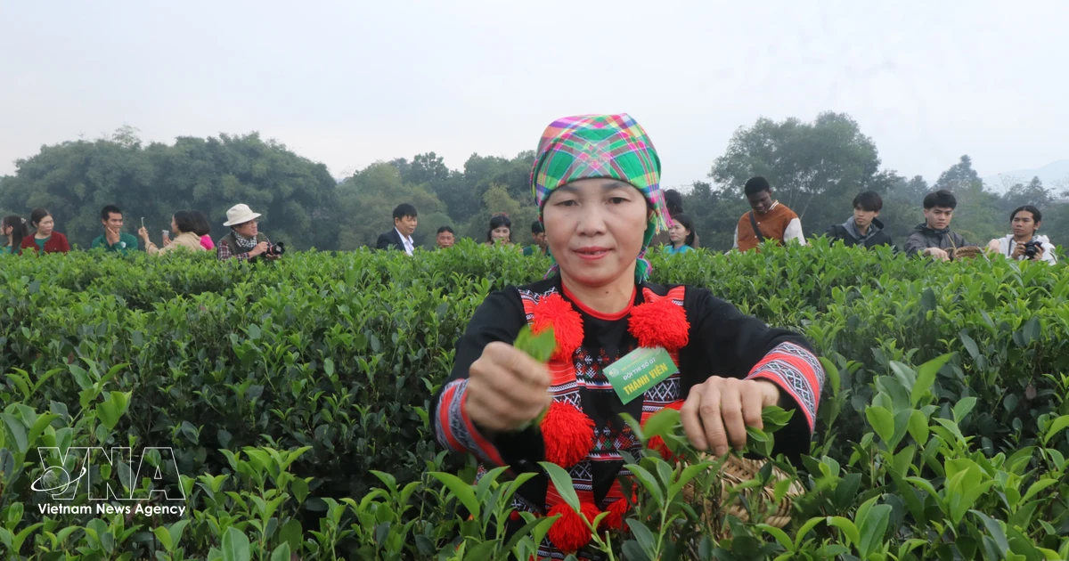 Thai Nguyen positions tourism to drive economic transformation