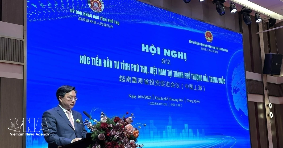 Phu Tho expands strategic cooperation with Chinese enterprises