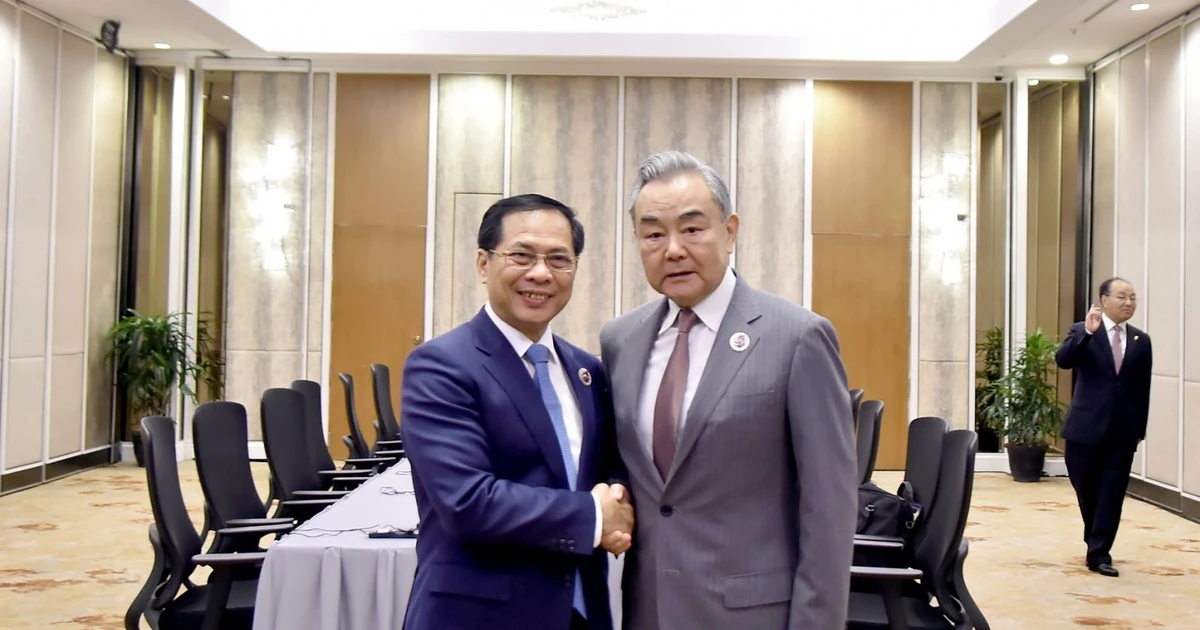 Deputy Prime Minister and Minister of Foreign Affairs Bui Thanh Son (left) and Chinese Foreign Minister Wang Yi meet in Kuala Lumpur on July 10. (Photo: VNA)