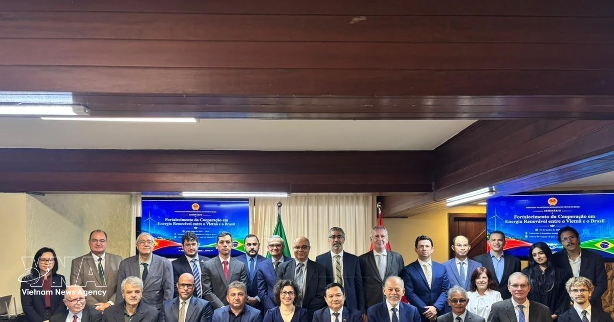 Vietnam, Brazil seek to step up cooperation in renewable energy