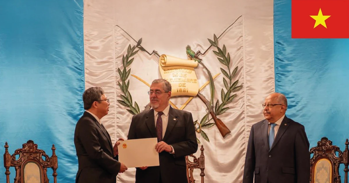 Vietnam seeks to strengthen multifaceted cooperation with Guatemala: diplomat