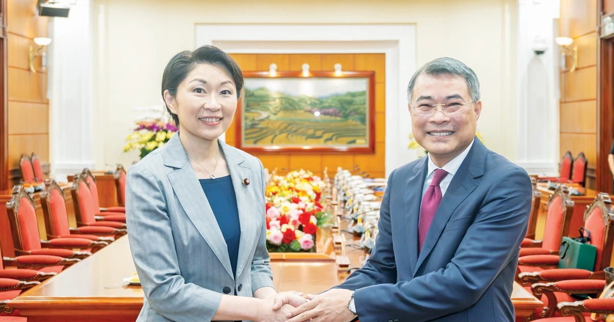 Politburo member, Secretary of the Party Central Committee, and head of the committee’s Organisation Commission Le Minh Hung (R) and Chairwoman of the Japan-Viet Nam Parliamentary Friendship Alliance Obuchi Yuko (Photo: daibieunhandan.vn)