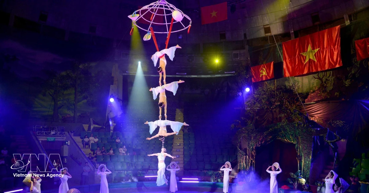 Vietnamese circus wins global applause