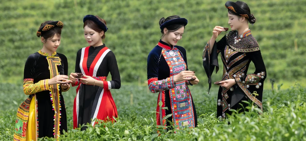 Tea culture celebrated amid Thai Nguyen’s green hills