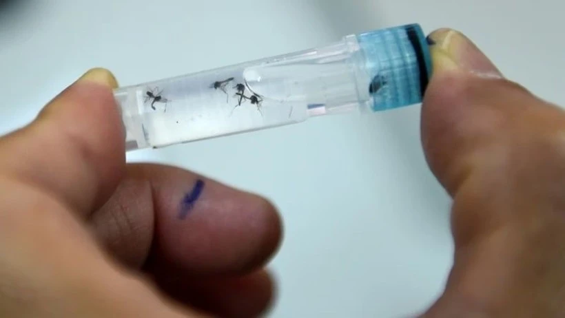 Indonesia targets zero dengue deaths by 2030