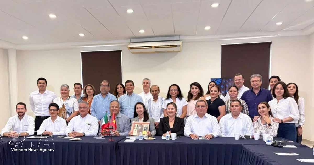 Vietnam, Mexico step up business connectivity