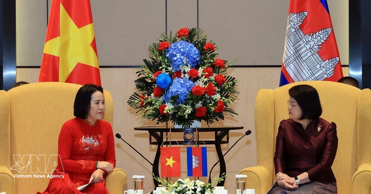 Vietnam, Cambodia promote legislative experience sharing