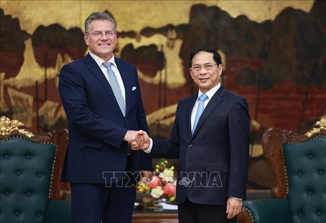 Deputy Prime Minister Bui Thanh Son (right) meets with EU Commissioner for Trade and Economic Security Maros Sefcovic in Ha Noi on September 26. (Photo: VNA)