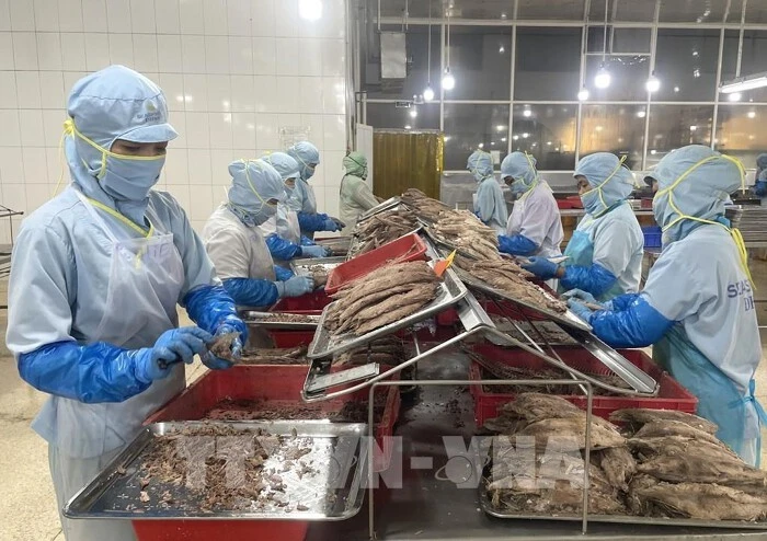 Workers produce canned tuna at the Seaspimex factory in Ho Chi Minh City. (Photo: VNA)