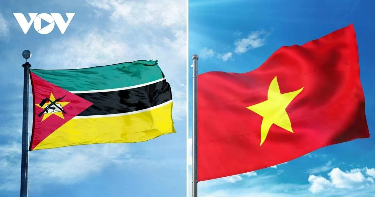 Vietnam sees Mozambique priority partner in Africa: Ambassador