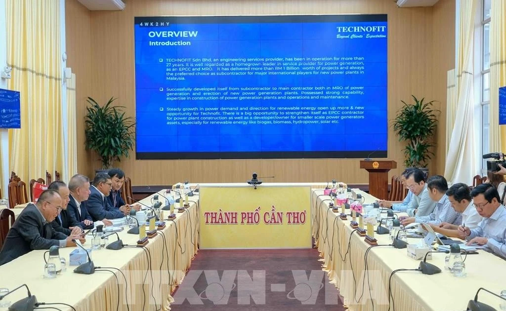 Malaysia firm discusses rice-husk power investment with Can Tho authorities