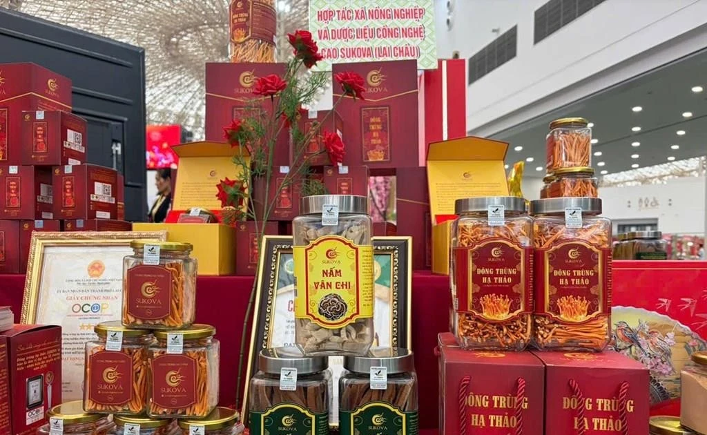 Spring Fair expected to help Lai Chau cooperative boost high-tech OCOP medicinal products