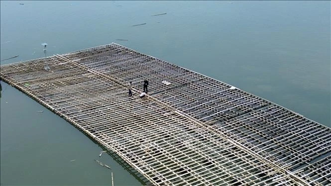 Local fishermen check and reinforce aquaculture rafts in Ha An ward, Quang Ninh province (Photo: VNA)
