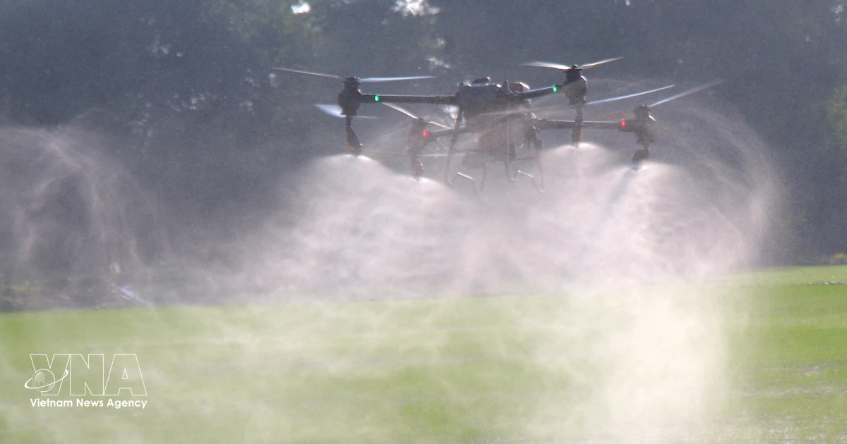 Shrinking farmland forces agriculture to go high-tech