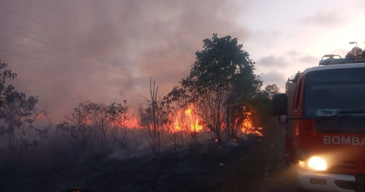 Prolonged heat grips Malaysia, Brunei sees spike in forest fires
