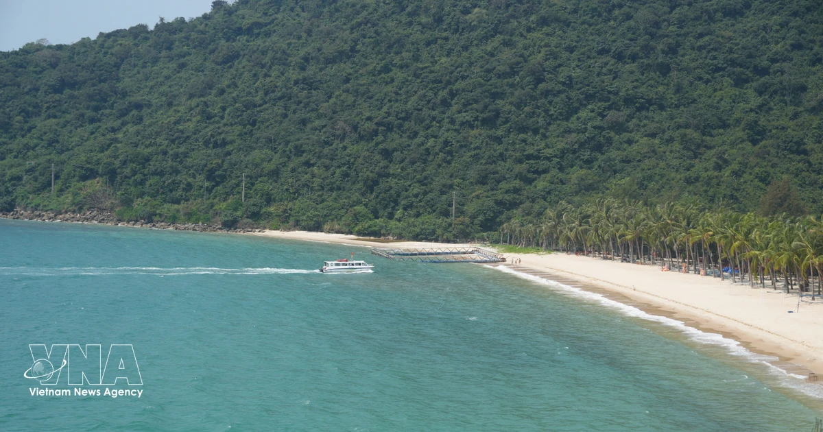 Cu Lao Cham poised to become Da Nang’s green paradise