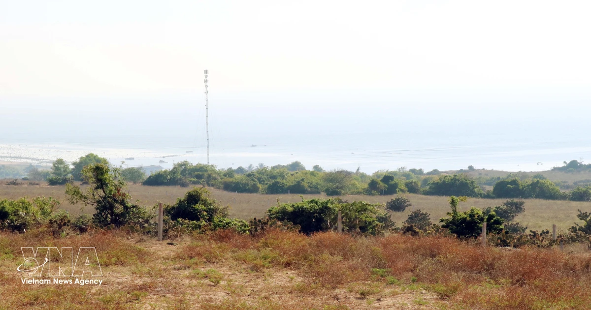 All-out push to fast-track Vietnam’s first nuclear power plants
