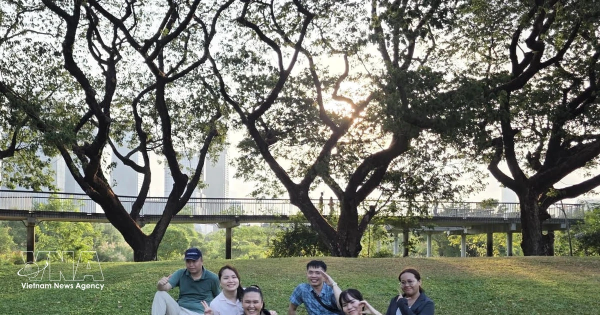 Urban revitalisation in Bangkok: Where green spaces, culture, and smart living converge