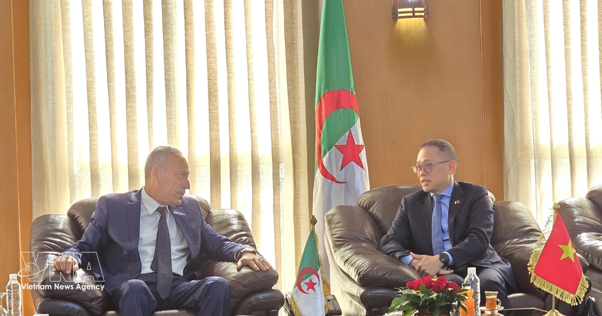 Vietnam promotes multifaceted cooperation with Algerian locality