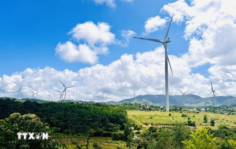 A wind power plant in Quang Tri province (Photo: VNA)