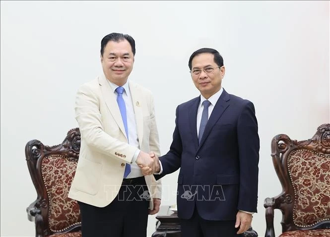 Lao group urged to deepen energy ties with Vietnam