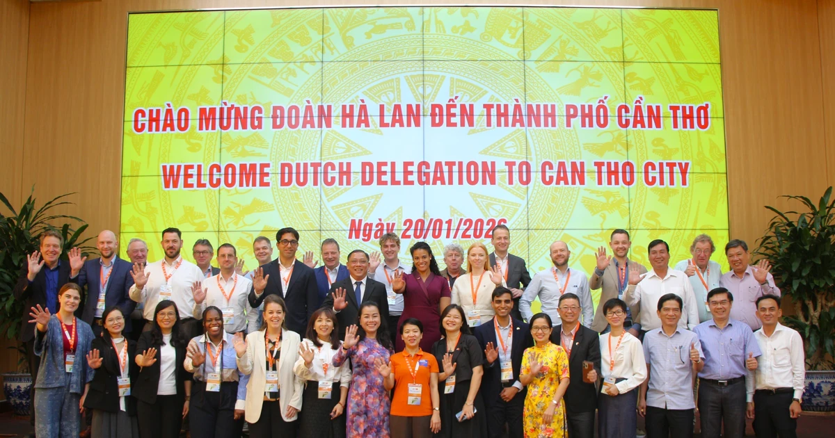Can Tho seeks to boost economic cooperation with Dutch partners