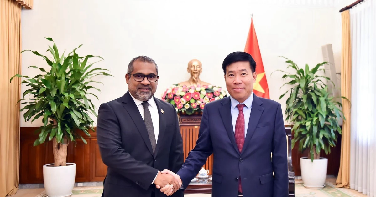 Vietnam, Maldives vow to foster bilateral cooperation