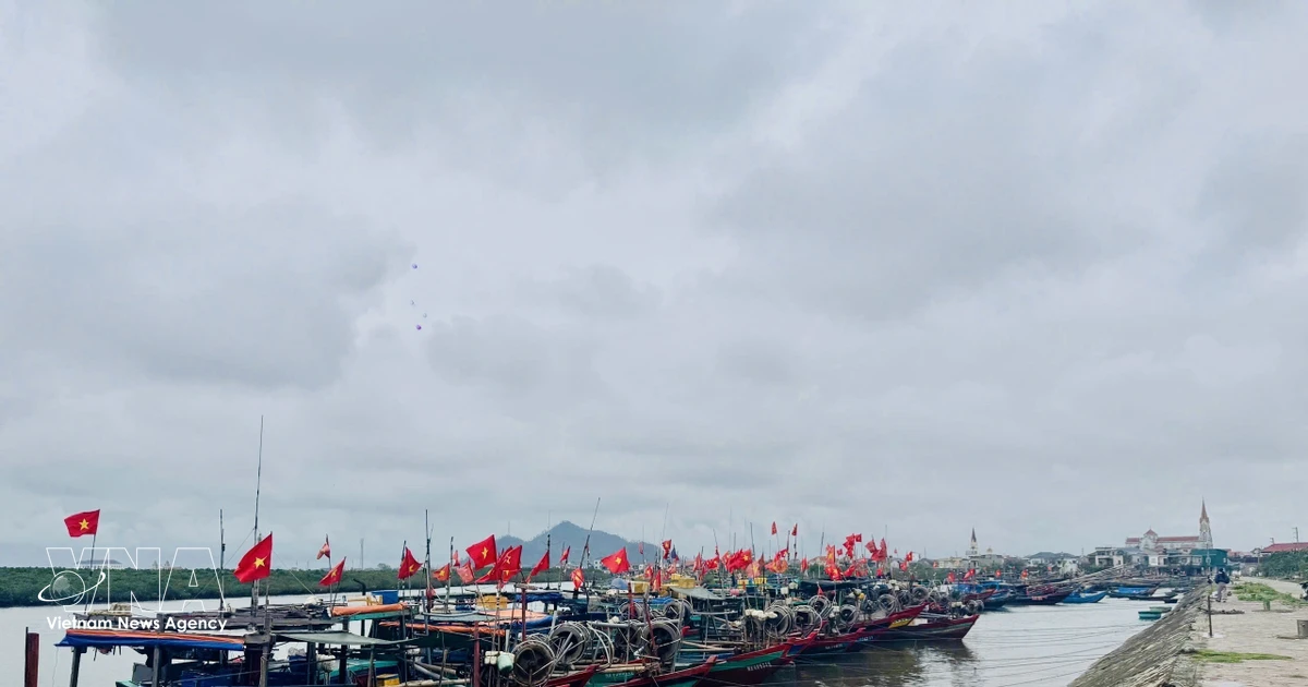 Community-led fisheries groups strengthen IUU fight in Ha Tinh