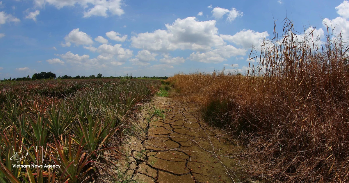 Government adopts action programme on environmental protection, climate resilience