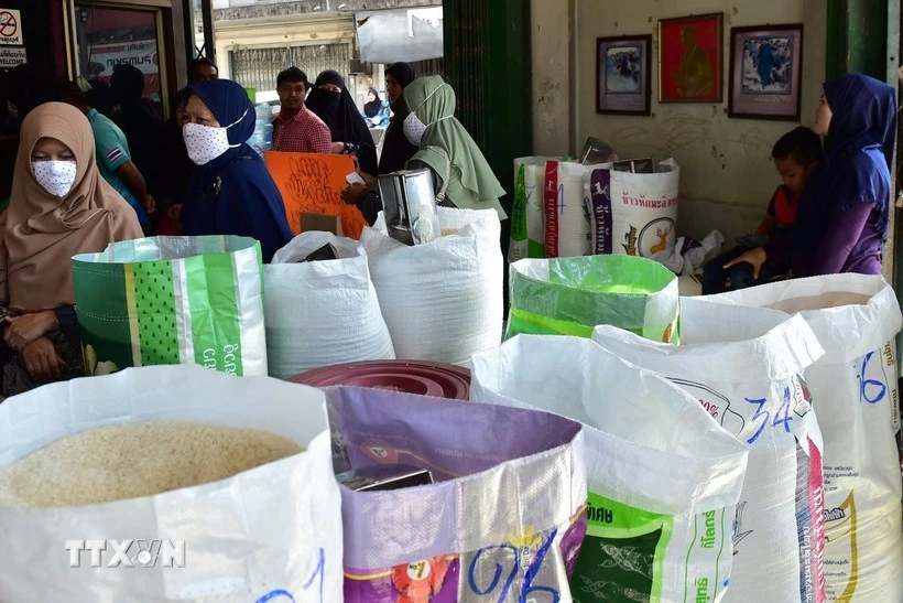 Thai rice exports decline nearly 19% in first half of 2026