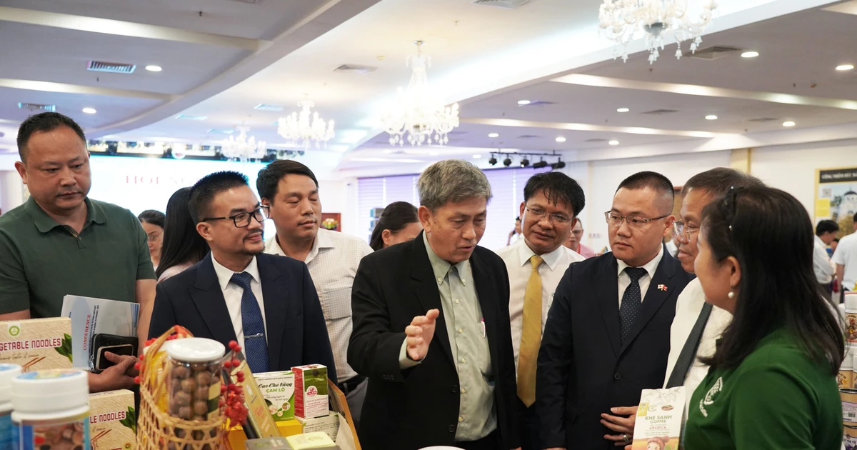 Quang Tri connects local and global businesses (Photo: VNA)