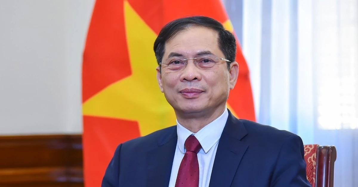 Deputy PM and Minister of Foreign Affairs Bui Thanh Son. (Photo: VNA)