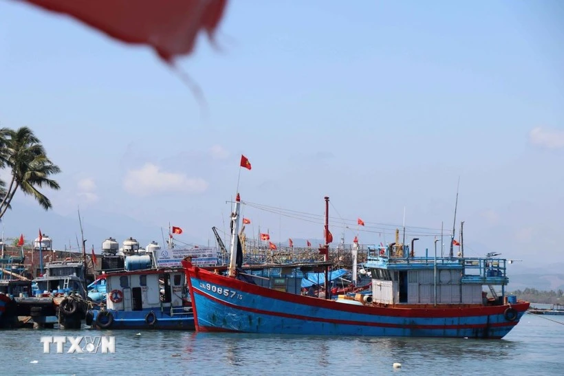 Ho Chi Minh City steps up law enforcement on fishing vessel monitoring system