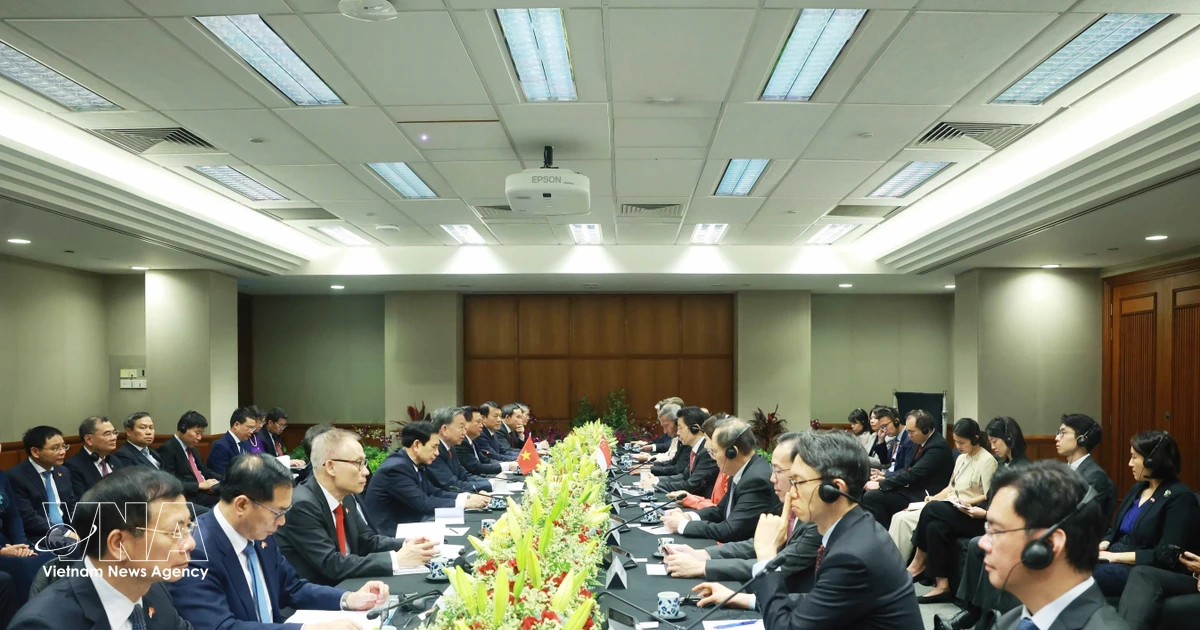 Top Vietnamese leader’s visit to Singapore to advance comprehensive strategic partnership