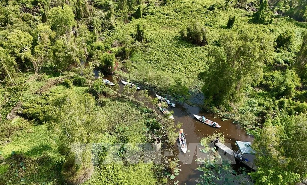 Forest databases for EUDR implementation to be completed in 2026